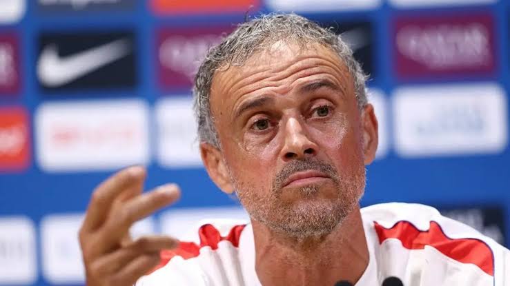 Brighton Paling Siap di Antara Klub B, Incar Liga Champions